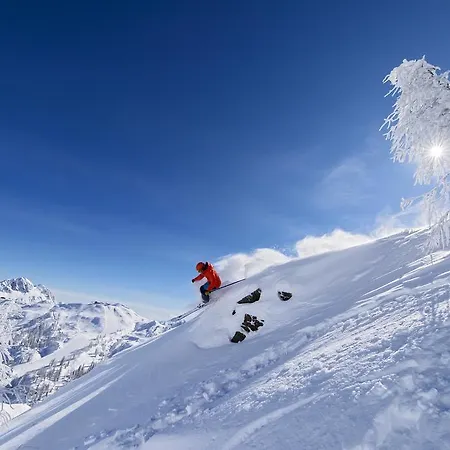 Soelle Enzian Huette Sonnenalpe Nassfeld