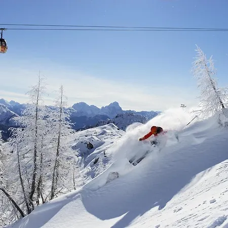 Alpstuga Soelle Enzian Huette *