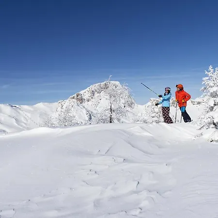 Sölle Enzian Hütte