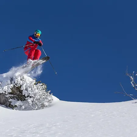 Soelle Enzian Huette Chalet Sonnenalpe Nassfeld