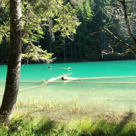 Chalet Soelle Enzian Huette *